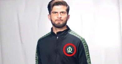 New Logo of Lahore Qalandars is Directly Copied From Stock Image